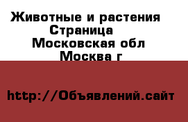  Животные и растения - Страница 7 . Московская обл.,Москва г.